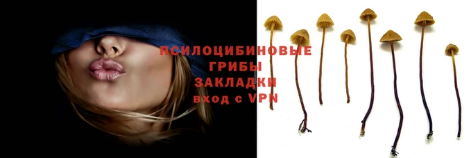 марихуана Волоколамск