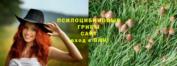 ALPHA PVP Волосово