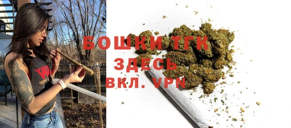 прущий лед Верея