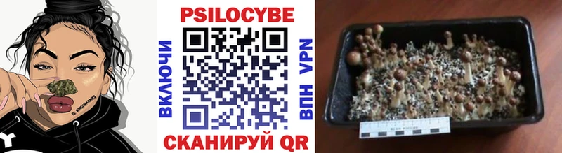где продают наркотики  Тольятти  Псилоцибиновые грибы ЛСД 