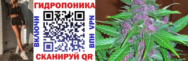 продажа наркотиков  Тольятти  Шишки марихуана тримм 